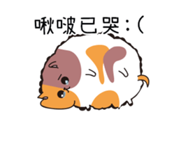 201970962