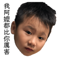 201982415