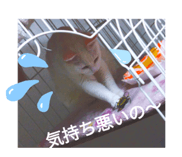201985071