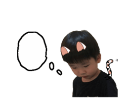 20208259
