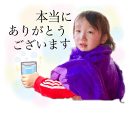 202334803