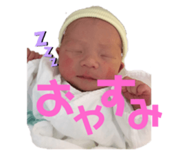202401550