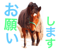 20245155