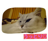 20251943