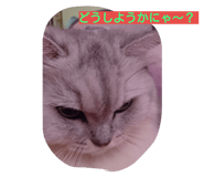 20251945