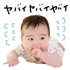 202578899