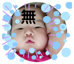 202643586
