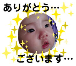 202643588