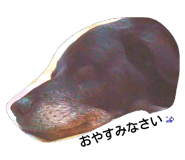 20266822
