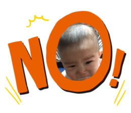 202671730