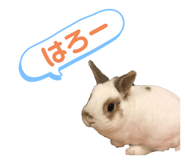 202774190