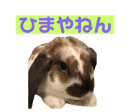 202774191