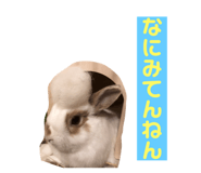 202774194