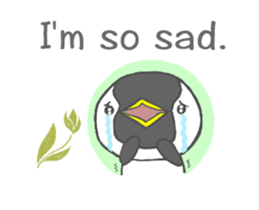 20279372