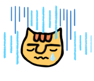 202813659