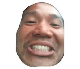 20294347