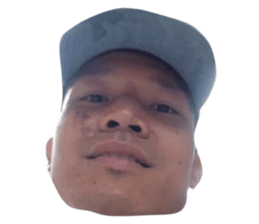 20294349