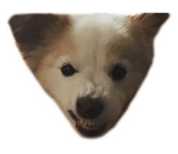 202967128