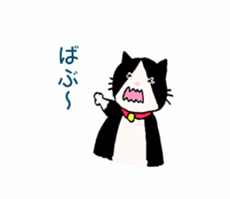 2030144