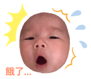 203024807