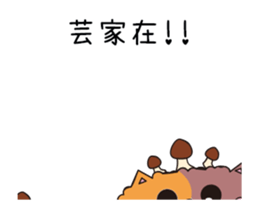 203040296