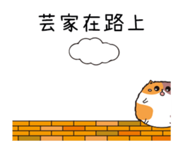 203040303