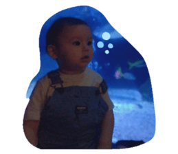 203053465
