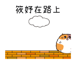 203070479