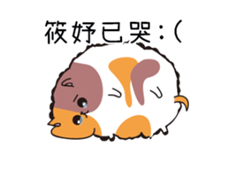 203070482