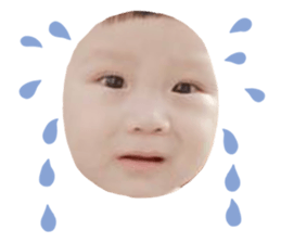 203076013