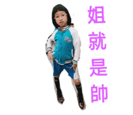 203094620