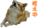 20311346