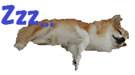20311351
