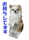 20311359