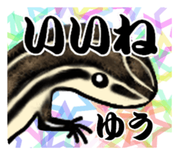 20312260