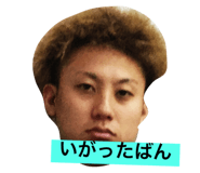 20319035