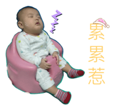 203234193