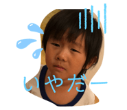 203258141