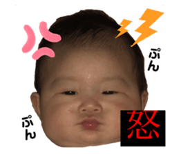 203314938