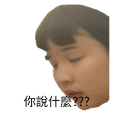203319116