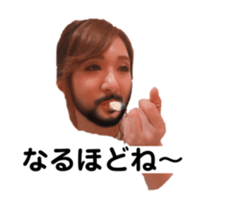 203331466