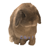 203334390