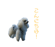 203359096