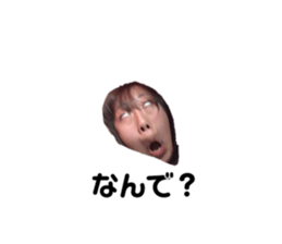203360550