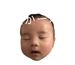 203361409