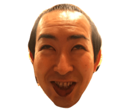 20341360
