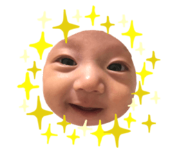203571316
