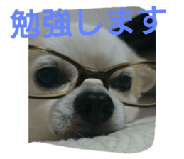 20365756
