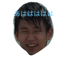 20366818
