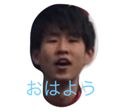20366822
